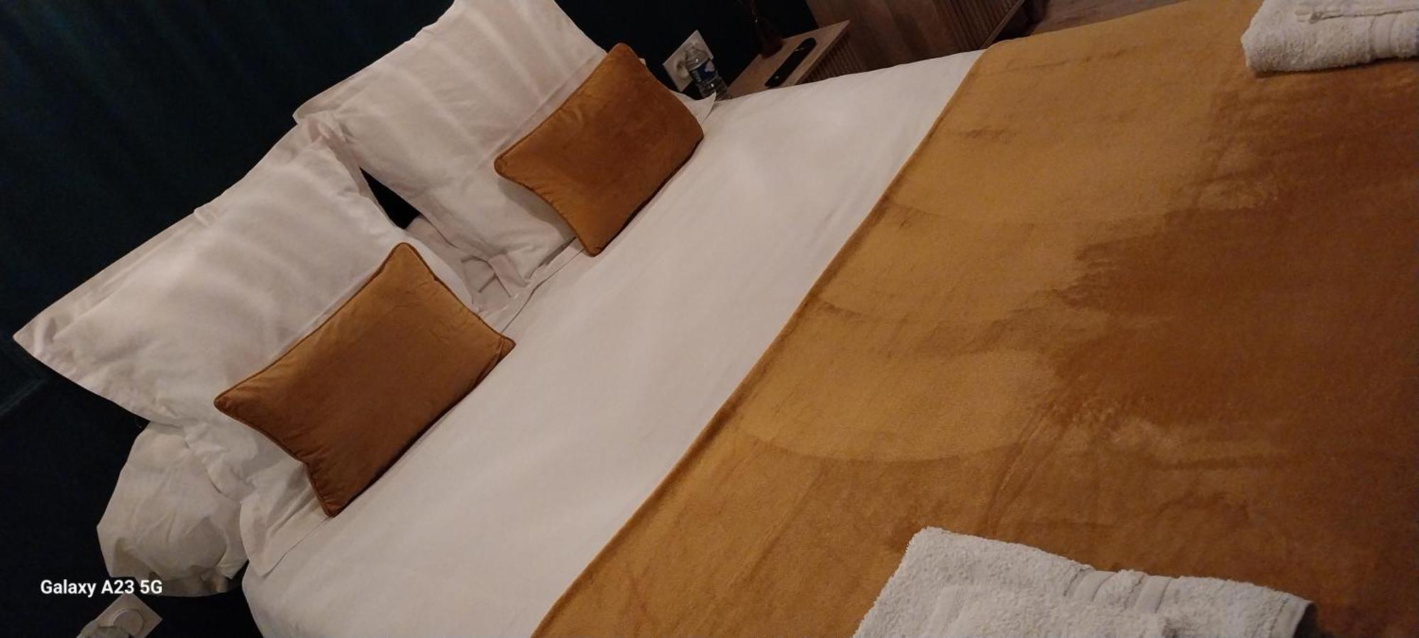 "Chez Lyly Et Juju" Piscine&Sauna Calme 3Chambres Анже Экстерьер фото