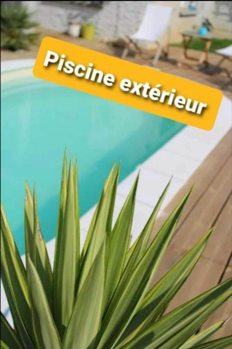 "Chez Lyly Et Juju" Piscine&Sauna Calme 3Chambres Анже Экстерьер фото